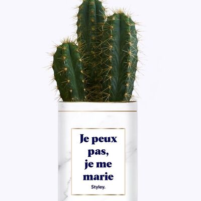 Plante Grasse - Je peux pas, je me marie -