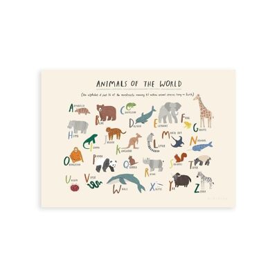 Animals Of The World Art Print