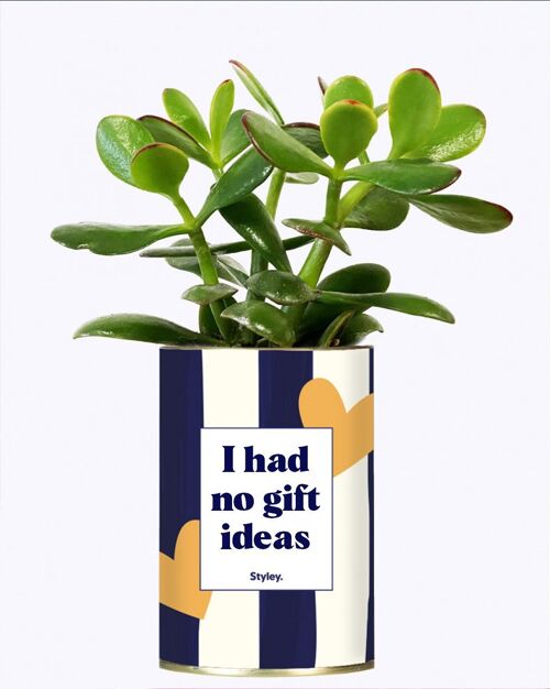 Plante Grasse - I had no gift ideas -