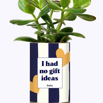 Plante Grasse - I had no gift ideas -