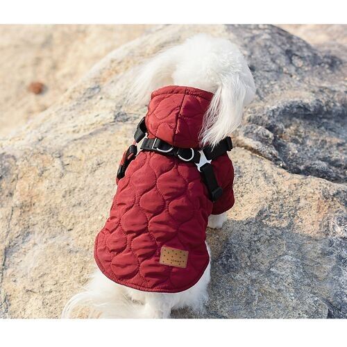 Ropa Anorak Para Perros