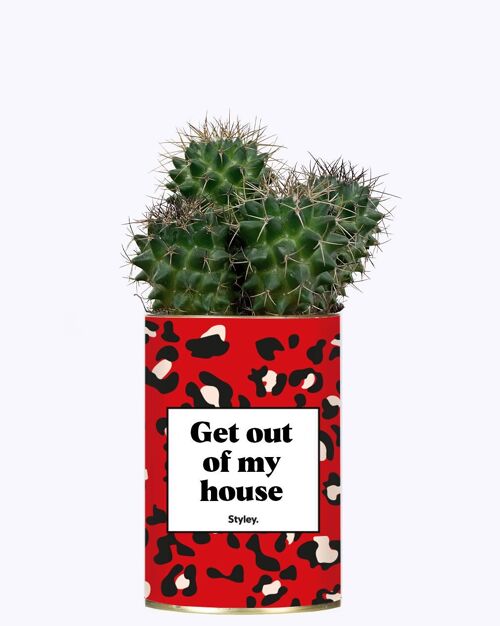 Plante Grasse - Get out of my house -