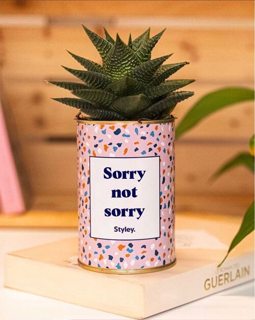 Plante Grasse - Sorry not sorry -