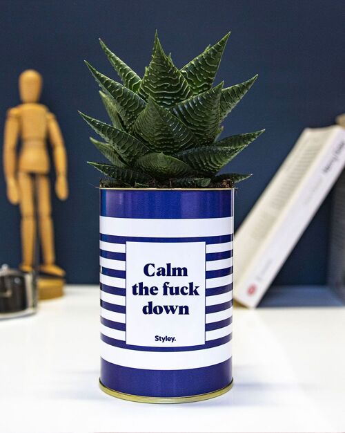 Plante Grasse - Calm the fuck down -