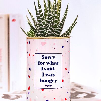 Plante Grasse – Entschuldigung für das, was ich gesagt habe, ich hatte Hunger –
