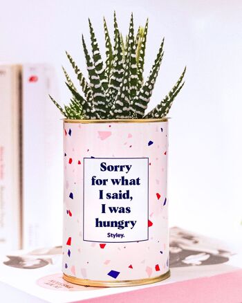 Plante Grasse - Sorry for what I said, I was hungry -