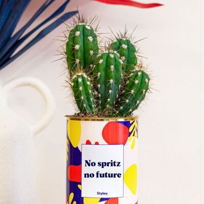 Succulent Plant - No Spritz No Future -