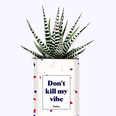 Pianta succulenta - Non uccidere la mia vibrazione -