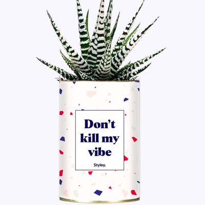 Succulent Plant - Don't kill my vibe -