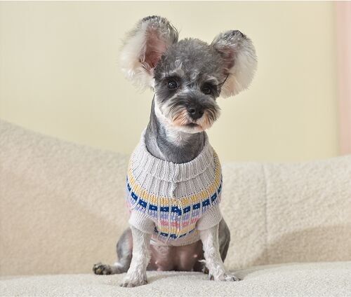 Jersey Para Mascotas Con Rallas De Colores