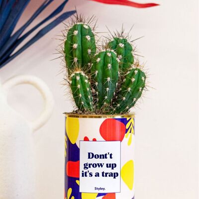 Plante Grasse - Don't grow up, it's a trap -