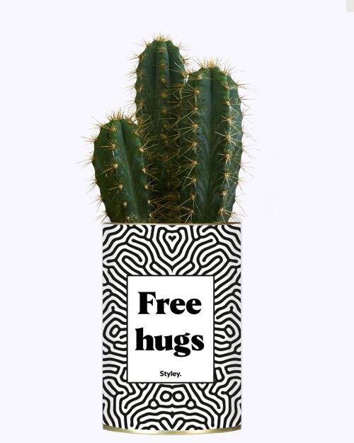 Plante Grasse - Free hugs -