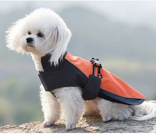 Ropa Impermeable Para Perros.