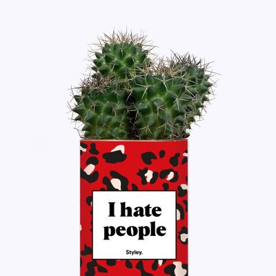 Succulent Plant - I hate people -