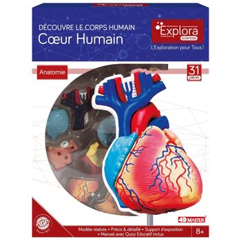 EXPLORA - Cœur - Anatomie Du Corps Humain - 546052 - Modèle Réaliste de 31 Pièces - Notice d'Assemblage et Quiz Éducatif - Kit de Découverte - Jeu Pour Enfant - Scientifique - À Partir de 8 ans 3