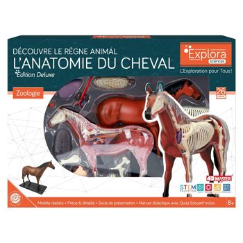 EXPLORA - Cheval - Zoologie - 546101 - Modèle Réaliste de 26 Pièces - Notice d'Assemblage et Quiz Éducatif - Kit de Découverte - Jeu Pour Enfant - Scientifique - Éducatif - Ludique - À Partir de 8 ans 3