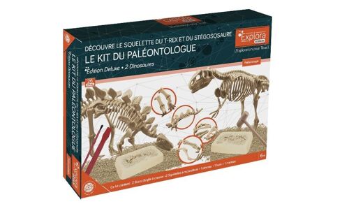 EXPLORA - 2 Squelettes de Dinosaures - Kit De Paléontologue - 039402 - Plâtre à Creuser - Kit de Découverte - Jeu Pour Enfant - Scientifique - Aventure - Ludique - Fossiles - À Partir de 6 ans