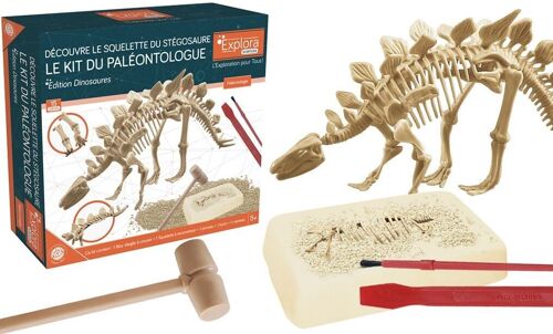 EXPLORA - Stégosaure - Kit De Paléontologue - 039397 - Plâtre à Creuser - Dinosaures - Kit de Découverte - Jeu Pour Enfant - Scientifique - Éducatif - Aventure - Ludique - Jouet - À Partir de 5 ans
