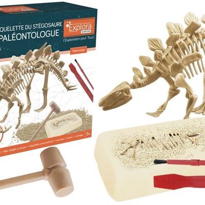 EXPLORA - Stégosaure - Kit De Paléontologue - 039397 - Plâtre à Creuser - Dinosaures - Kit de Découverte - Jeu Pour Enfant - Scientifique - Éducatif - Aventure - Ludique - Jouet - À Partir de 5 ans