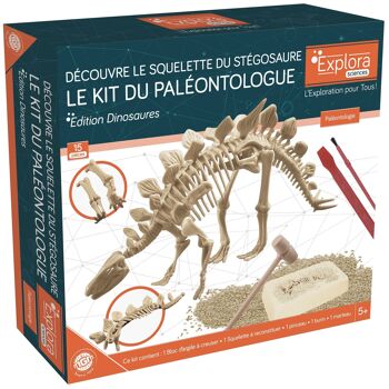 EXPLORA - Stégosaure - Kit De Paléontologue - 039397 - Plâtre à Creuser - Dinosaures - Kit de Découverte - Jeu Pour Enfant - Scientifique - Éducatif - Aventure - Ludique - Jouet - À Partir de 5 ans 2