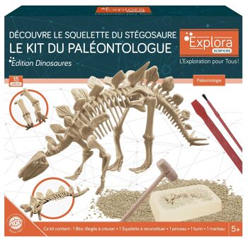 EXPLORA - Stégosaure - Kit De Paléontologue - 039397 - Plâtre à Creuser - Dinosaures - Kit de Découverte - Jeu Pour Enfant - Scientifique - Éducatif - Aventure - Ludique - Jouet - À Partir de 5 ans 3