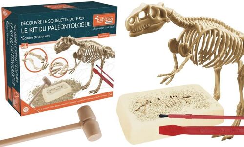 EXPLORA - T-Rex - Kit De Paléontologue - 039396 - Plâtre à Creuser - Dinosaures - Kit de Découverte - Jeu Pour Enfant - Scientifique - Éducatif - Aventure - Ludique - Jouet - À Partir de 5 ans