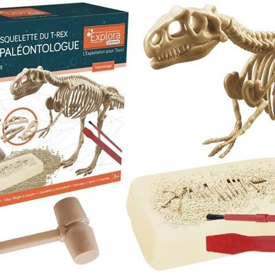 EXPLORA - T-Rex - Kit De Paléontologue - 039396 - Plâtre à Creuser - Dinosaures - Kit de Découverte - Jeu Pour Enfant - Scientifique - Éducatif - Aventure - Ludique - Jouet - À Partir de 5 ans