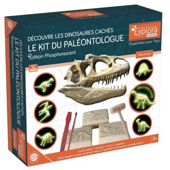 EXPLORA - Dinosaures Phosphorescents - Kit De Paléontologue - 039400 - Plâtre à Creuser - Kit de Découverte - Jeu Pour Enfant - Scientifique - Éducatif - Aventure - Jouet - À Partir de 5 ans 2