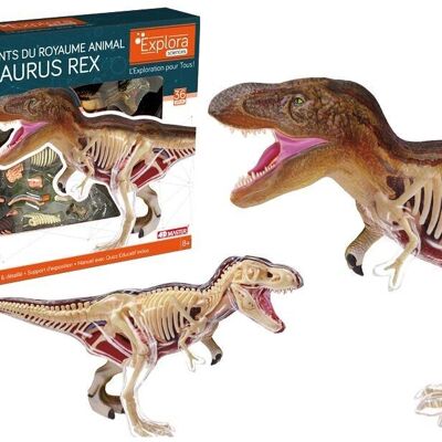 EXPLORA - T-Rex - Paléontologie - 546092 - Modèle Réaliste de 36 Pièces - Notice d'Assemblage et Quiz Éducatif - Dinosaure - Kit de Découverte - Jeu Pour Enfant - Scientifique - À Partir de 8 ans