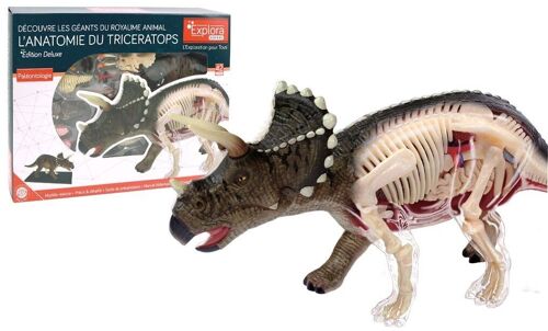 EXPLORA - Tricératops - Paléontologie - 546093 - Modèle Réaliste de 36 Pièces - Notice d'Assemblage et Quiz Éducatif - Dinosaure - Kit de Découverte - Jeu Pour Enfant - Scientifique -À Partir de 8 ans