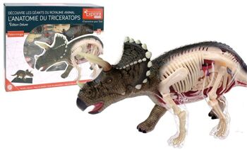 EXPLORA - Tricératops - Paléontologie - 546093 - Modèle Réaliste de 36 Pièces - Notice d'Assemblage et Quiz Éducatif - Dinosaure - Kit de Découverte - Jeu Pour Enfant - Scientifique -À Partir de 8 ans 1