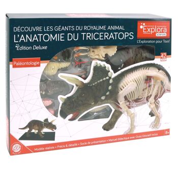 EXPLORA - Tricératops - Paléontologie - 546093 - Modèle Réaliste de 36 Pièces - Notice d'Assemblage et Quiz Éducatif - Dinosaure - Kit de Découverte - Jeu Pour Enfant - Scientifique -À Partir de 8 ans 2