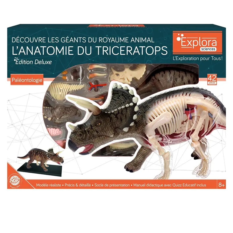 Science4you Brachiosaurus Fouilles fossiles - Jouet scientifique, dinosaures, 11 pièces et livre éducatif multilingue, cadeau idéal pour les enfants de 6 7 8 ans Science4you Brachiosaurus Fouilles fossiles - Jouet scientifique, dinosaures, 11 pièces et livre éducatif multilingue, cadeau idéal pour les enfants de 6 7 8 ans