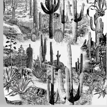Cactus Fond d'écran 3