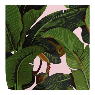 Pink Banana Leaves Wallpaper