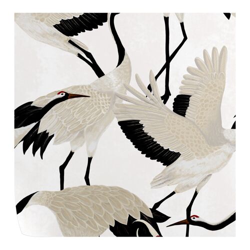White Herons Wallpaper