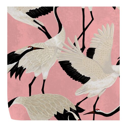 Pink Herons Wallpaper