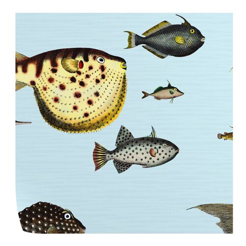 Tropical Fish Wallpaper