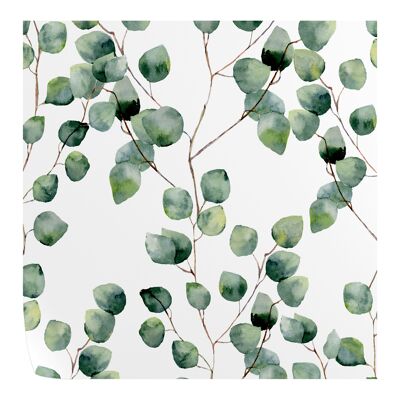 Eucalyptus Wallpaper