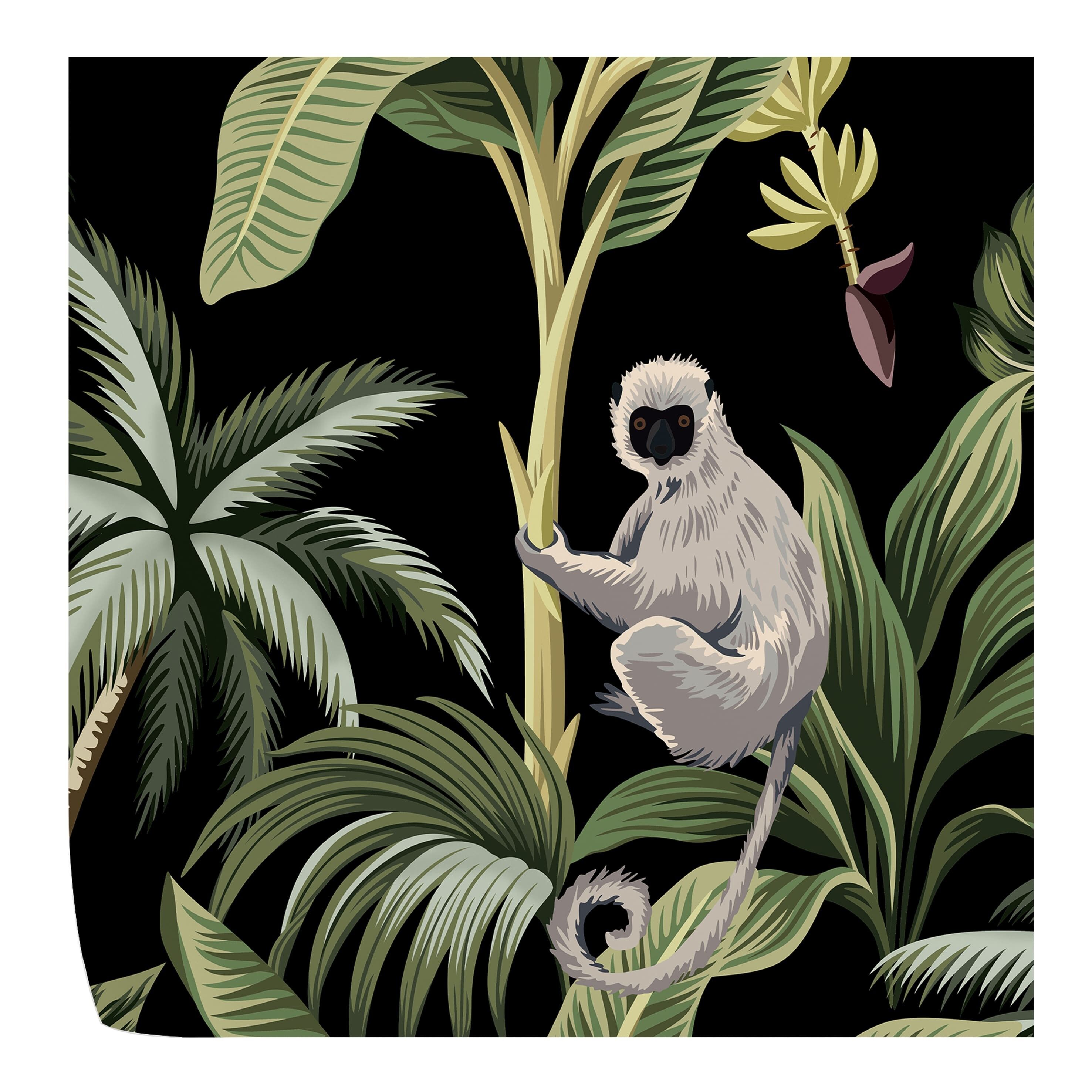 Sfondo di Scimmia Nera