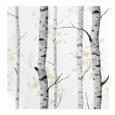 Papier peint Forêt de bouleaux noir et blanc