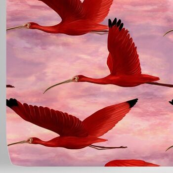 Papier peint oiseaux roses tropicaux au coucher du soleil 5