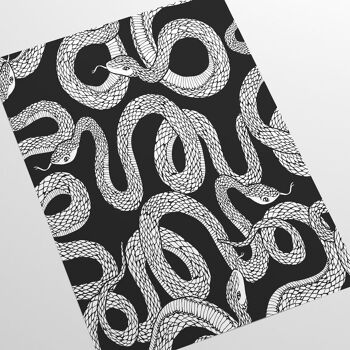 Serpents noirs et blancs Fond d'écran 2