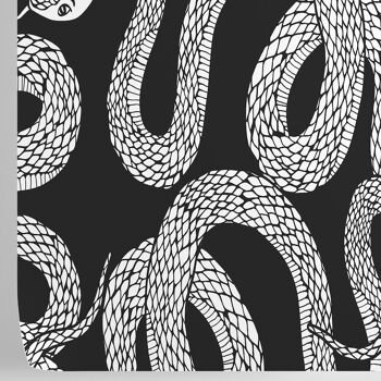 Serpents noirs et blancs Fond d'écran 3