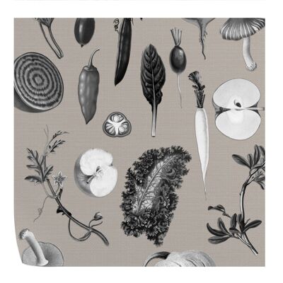 Kitchen Wallpaper with Botanical Illustrations