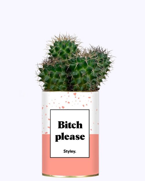 Plante Grasse - Bitch please-