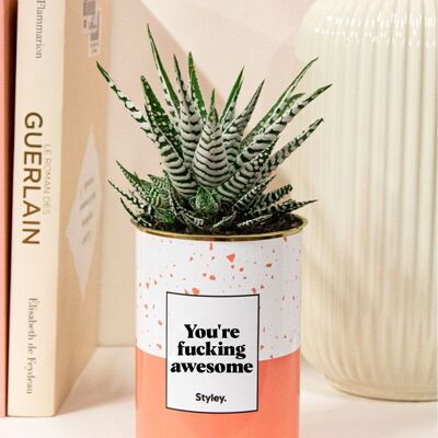 Grasse Plant – Du bist verdammt großartig –