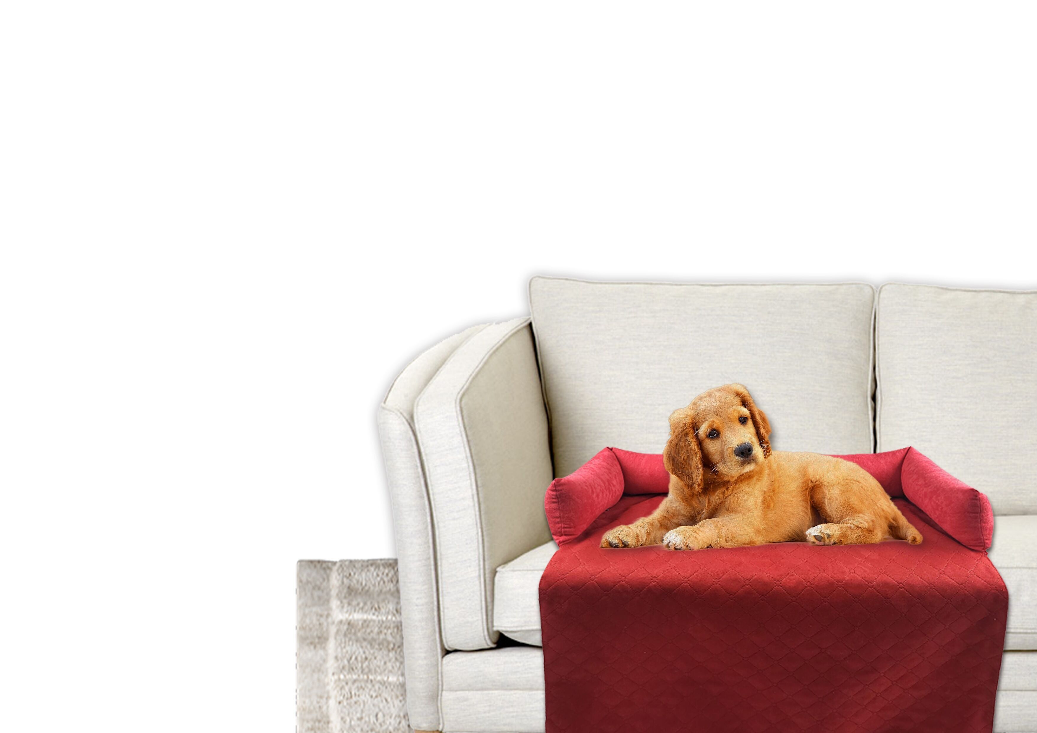 4 Confezioni Divano Manta Para De Perro 70Cm (4 Colori)