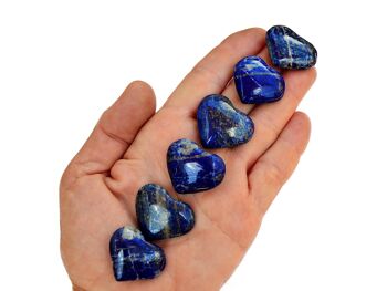 Lot de 10 pièces de cristal de cœur Lapis Lazuli (25 mm - 35 mm) 8