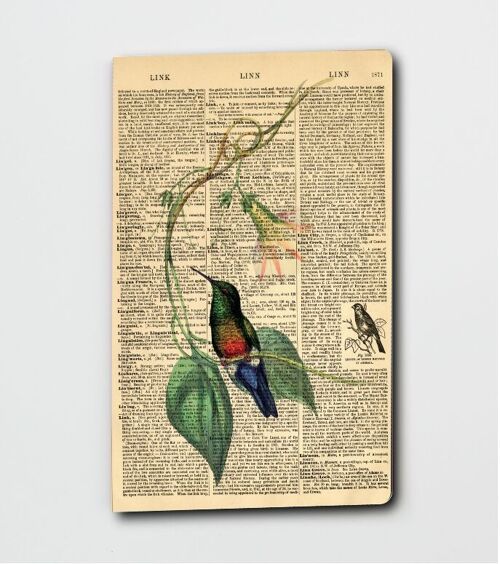 Dictionary Art Hummingbird Notebook (WAN23401)